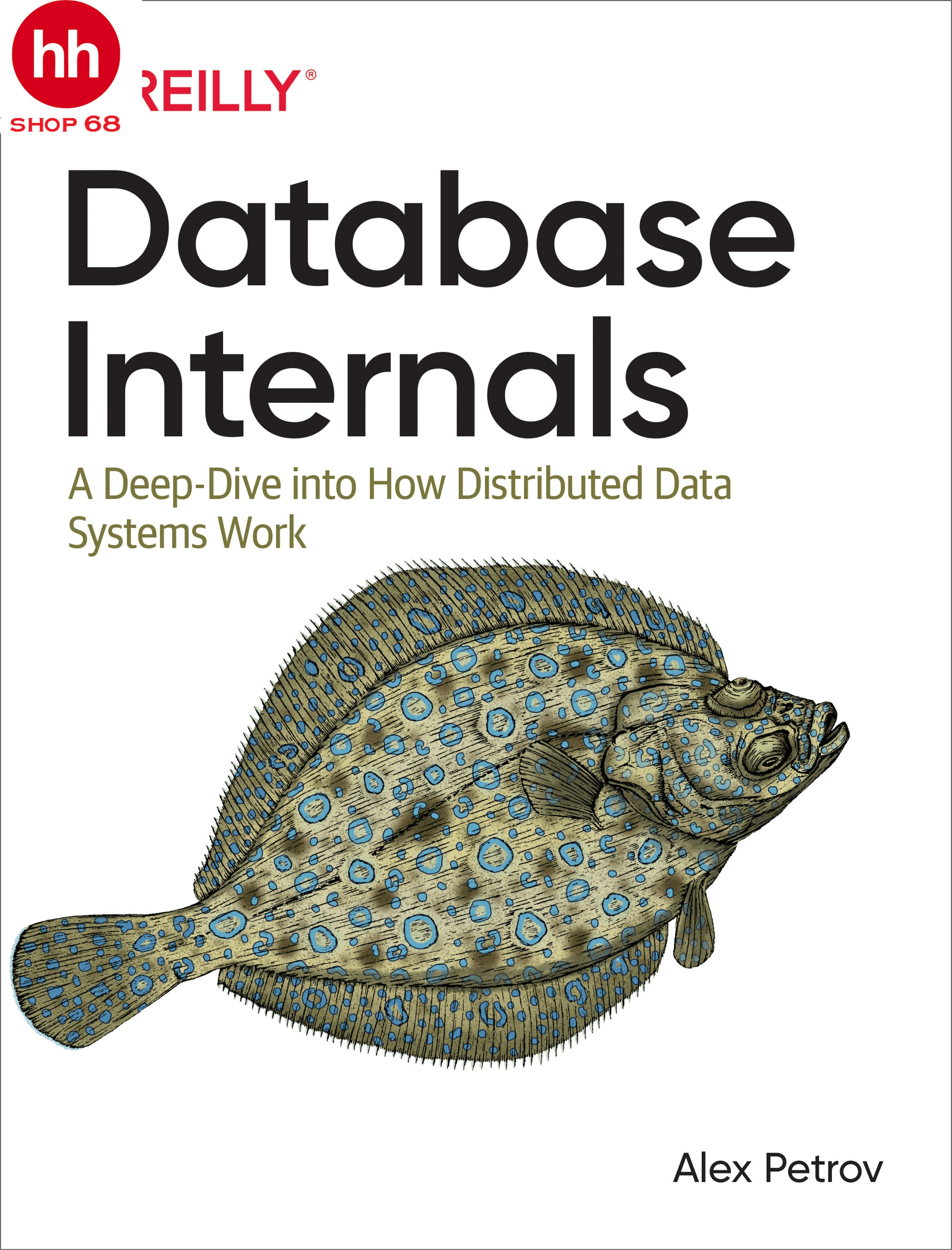 Database Internals